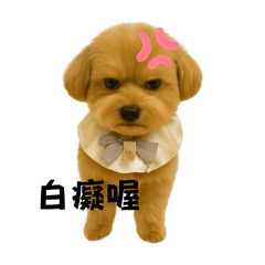 可愛的卡布貼圖