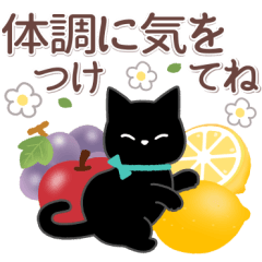 サクサク使える❤黒猫さん3