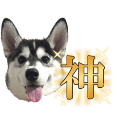 misaki_20250728142527