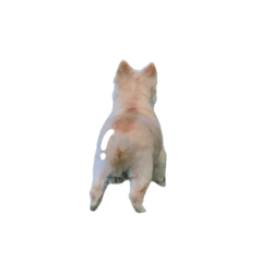 mochico_20250728181351