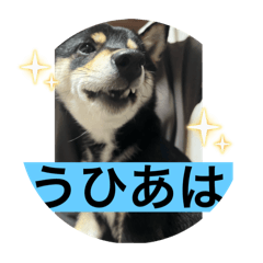 Takeru_20250728215839