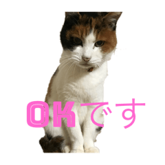 Junko_20250728223921