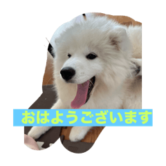 YOU_20250729081125