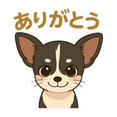 SACHI_20250729082250