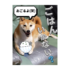 SACHI_20250728213901