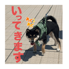 Takeru_20250728215222