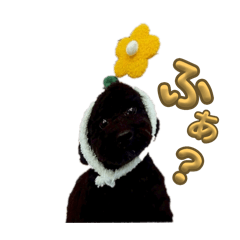 aki.y_20250729013021