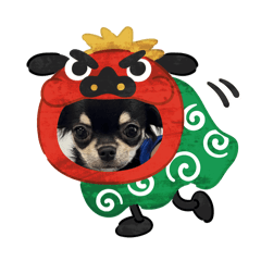 haruka_20250728235122