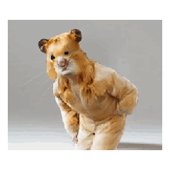 踊るハムスターさん