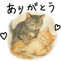 ◉使いたくなる猫◉長毛&短毛