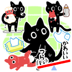 Dark Cat raising (Newborn to 6 months)