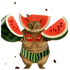 Puni Tabby Cat &  Summer Fruits  Moving