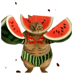 Puni Tabby Cat &  Summer Fruits  Moving