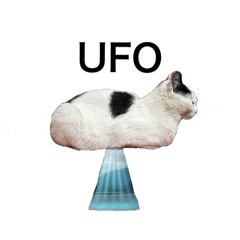 Daichi_20250727224942