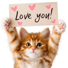 ♡子猫たちのお願いスタンプ♡