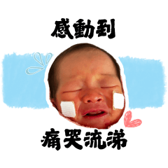 若安若希剛出生實用貼圖