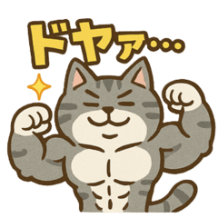 Muscle Cat vol.1