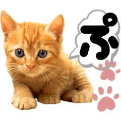 Roux._20250728182642