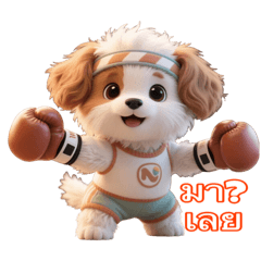 Ging_Rakcang  cxm pwn-2