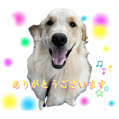 てんちゃんのスタンプvol.2