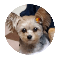 eriko_20250729112823