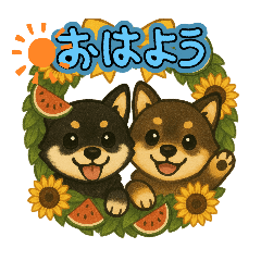 wander_20250729134907