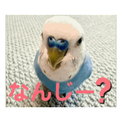hiro_20250729174753