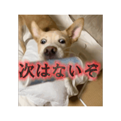 shun_20250729165323