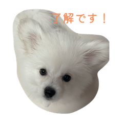 KOTETSU_20250728232407