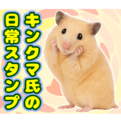 The daily life of a Syrian hamster