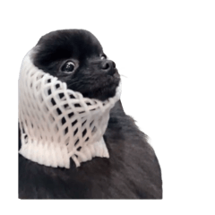 unimama_20250729131344