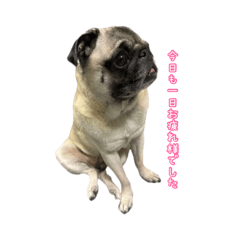 ichiichi_20250729144952