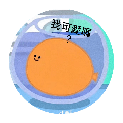 小小魚魚的日常