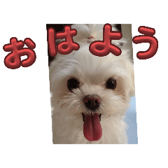 EverydayLifebeautiful