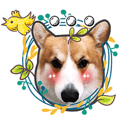 MY Lovely Dog Dog Dog – LINE stickers | LINE STORE
