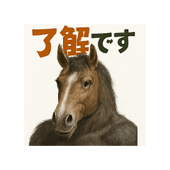 kinkin_20250729124315