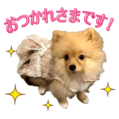 SENPAI,LiLy&POPO's Sticker