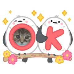 Alice_20250729174613