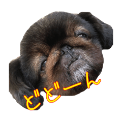 Pekky stamp