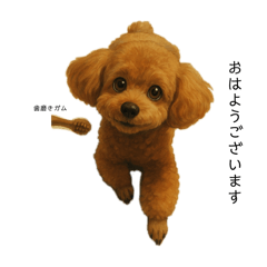 asuka_20250729201632