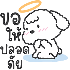 หมาฟูฟู : คำทุกวัน