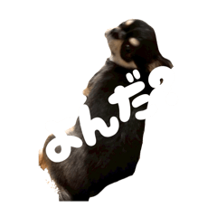 arisa_20250729152702