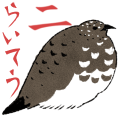 Sticker of cute Rock Ptarmigan ver.2