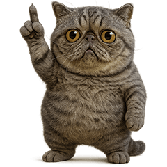 Grossly ugly cute19(Exotic Shorthair5)