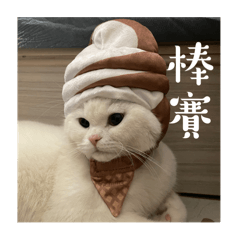 阿喵錢錢