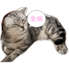 她叫妹妹超可愛的