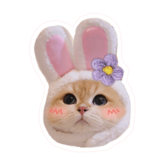 徐小茶的日常貼圖