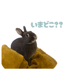 ka_ponzu