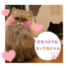 mumuchan_20250729232607