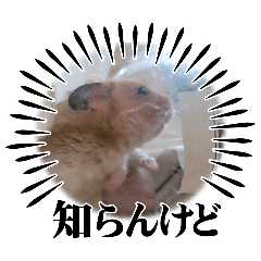 kiki_20250730111802